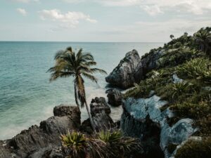 kayleigh-foley-2xkeQ1iEzZk-unsplash